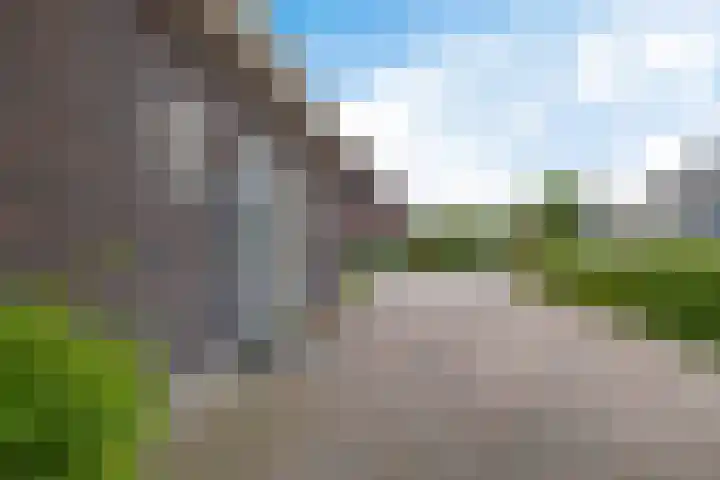 Dekenskamp 1 Wirdum thumbnail 5