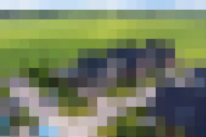 Dekenskamp 1 Wirdum thumbnail 53