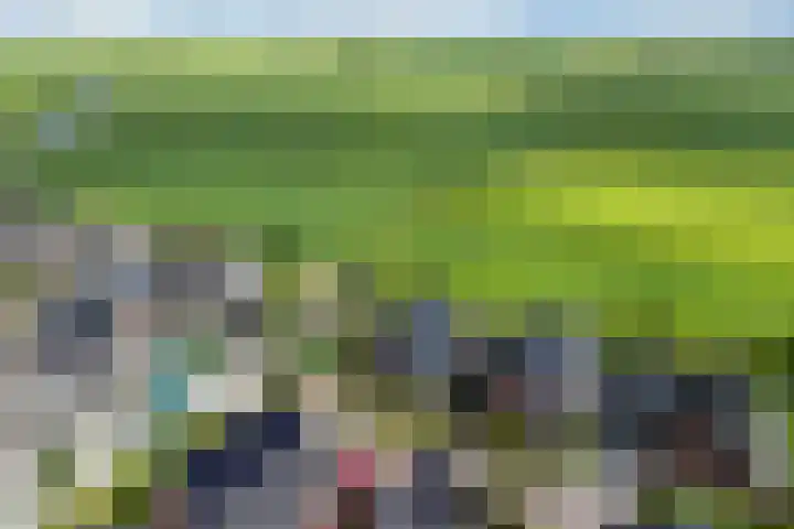 Dekenskamp 1 Wirdum thumbnail 54