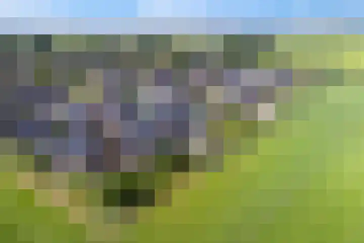 Dekenskamp 1 Wirdum thumbnail 55