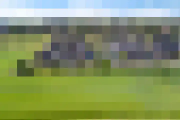 Dekenskamp 1 Wirdum thumbnail 56