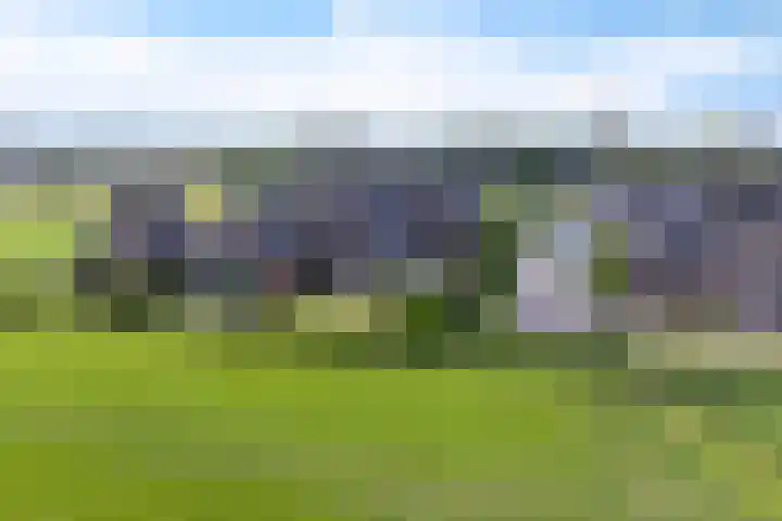 Dekenskamp 1 Wirdum thumbnail 57