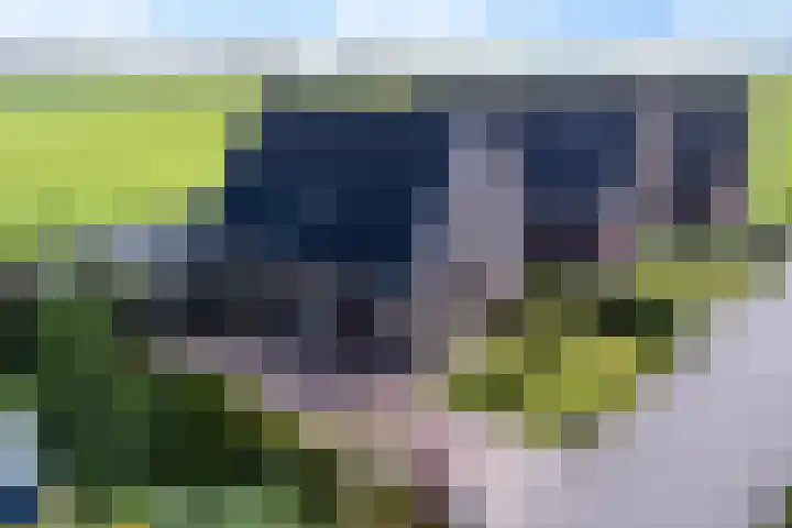 Dekenskamp 1 Wirdum thumbnail 59