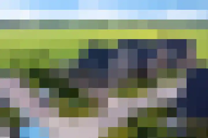 Dekenskamp 1 Wirdum thumbnail 60