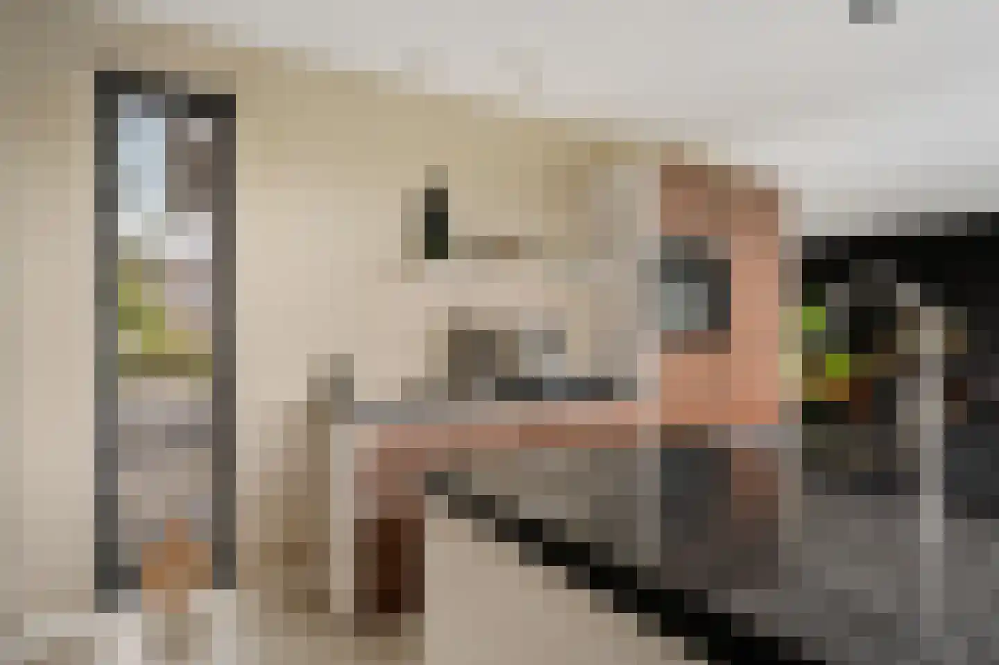 Dekenskamp 3 Wirdum thumbnail 14