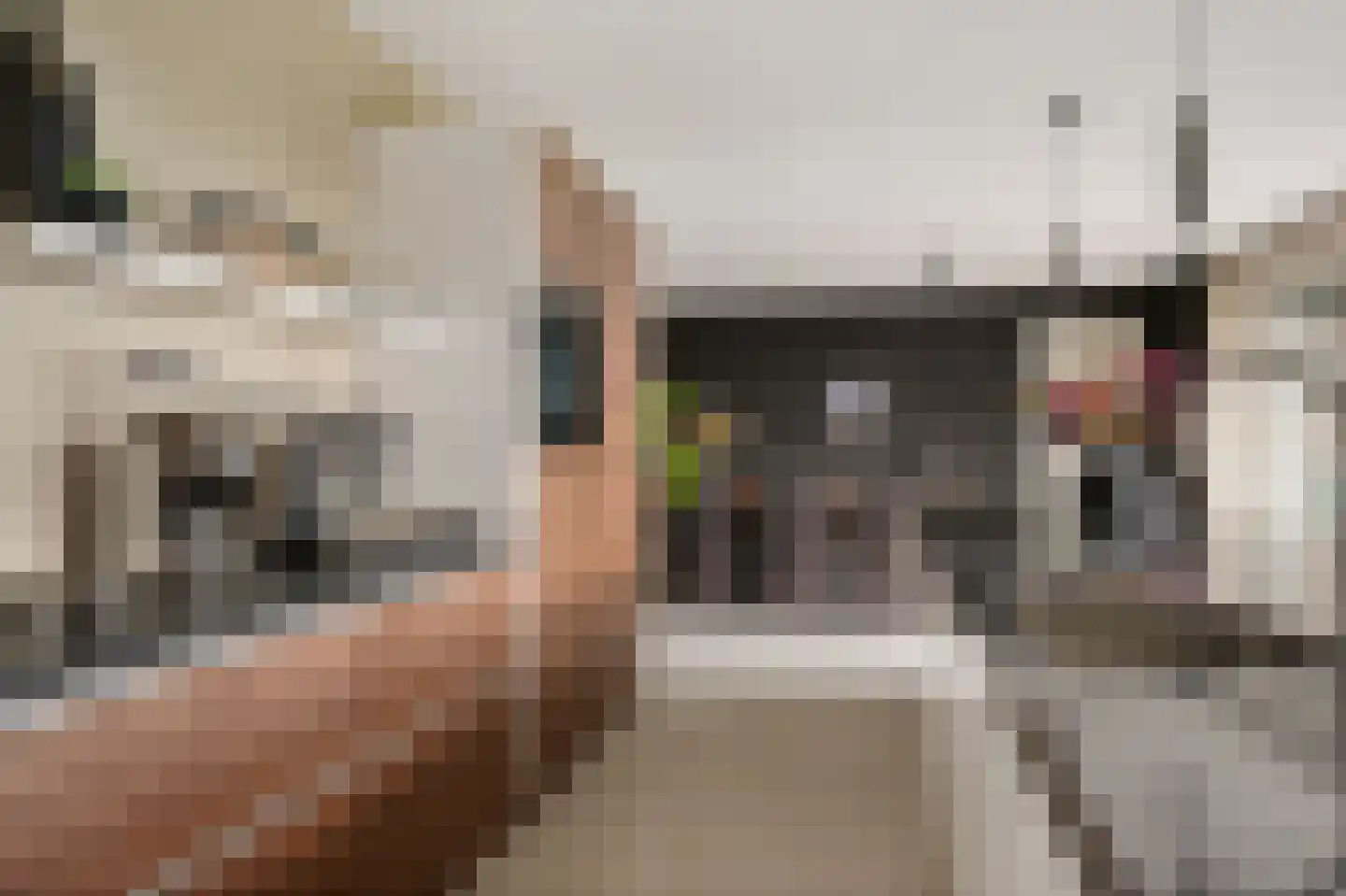 Dekenskamp 3 Wirdum thumbnail 15