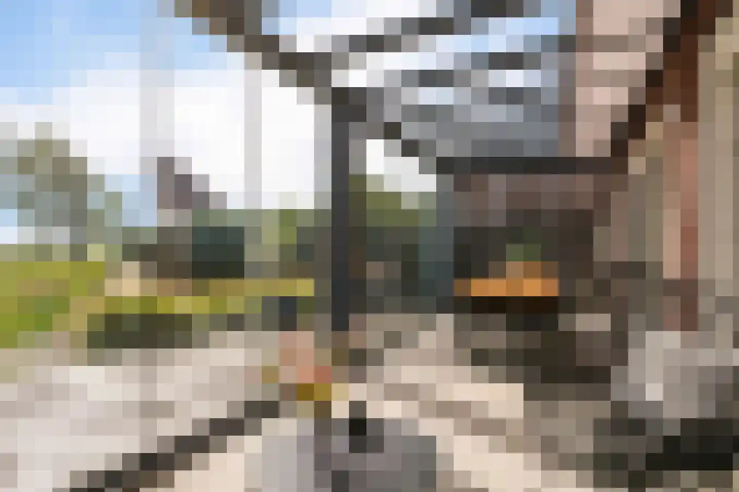 Dekenskamp 3 Wirdum thumbnail 18