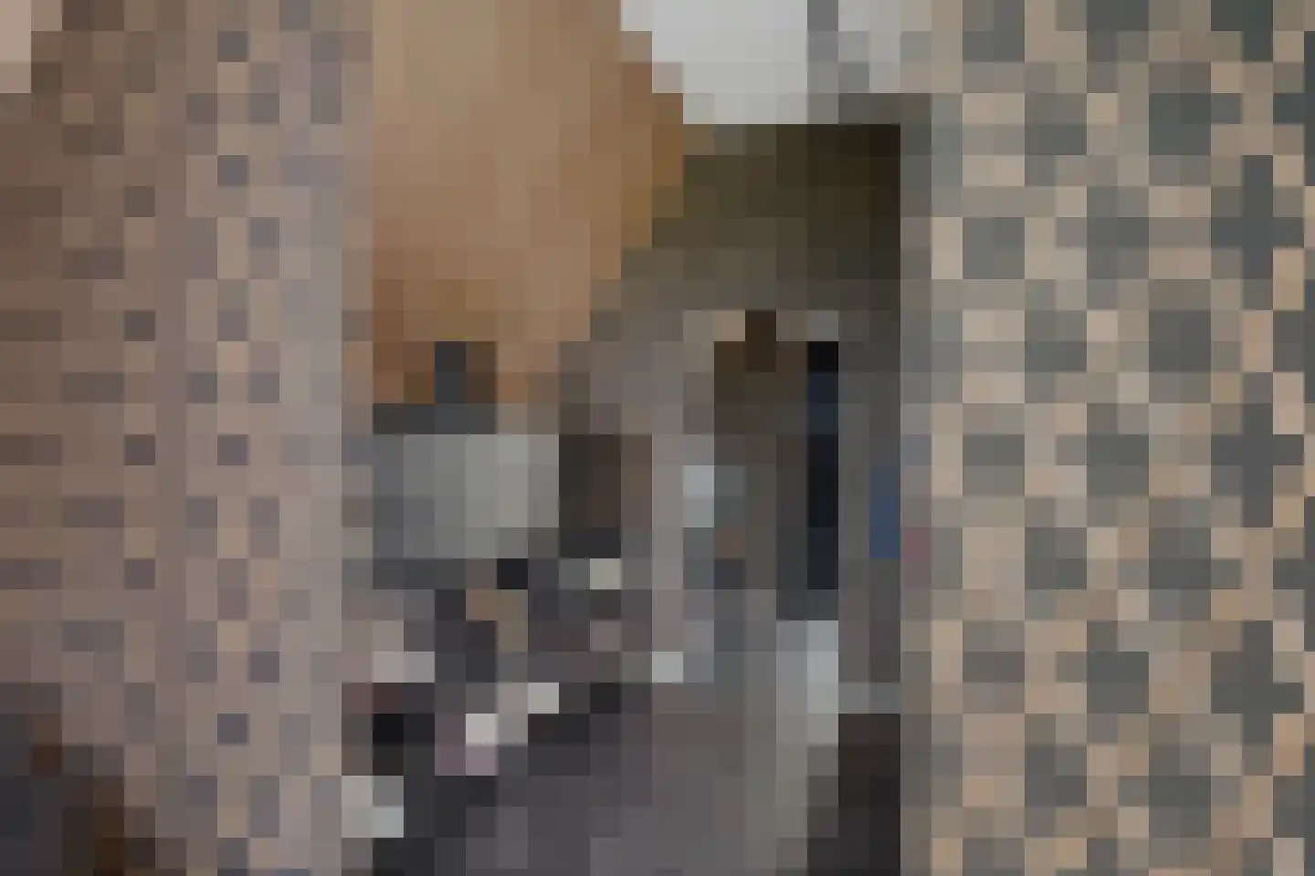 Dekenskamp 3 Wirdum thumbnail 29