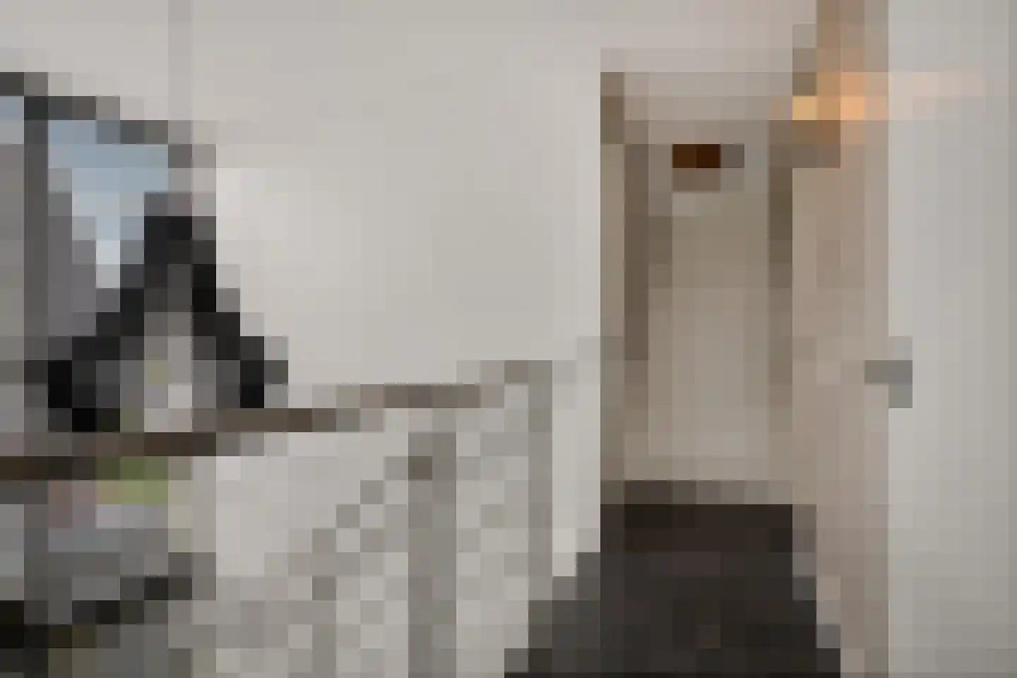 Dekenskamp 3 Wirdum thumbnail 40