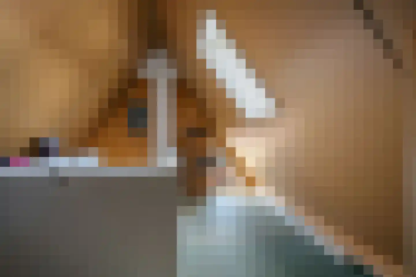 Dekenskamp 3 Wirdum thumbnail 43