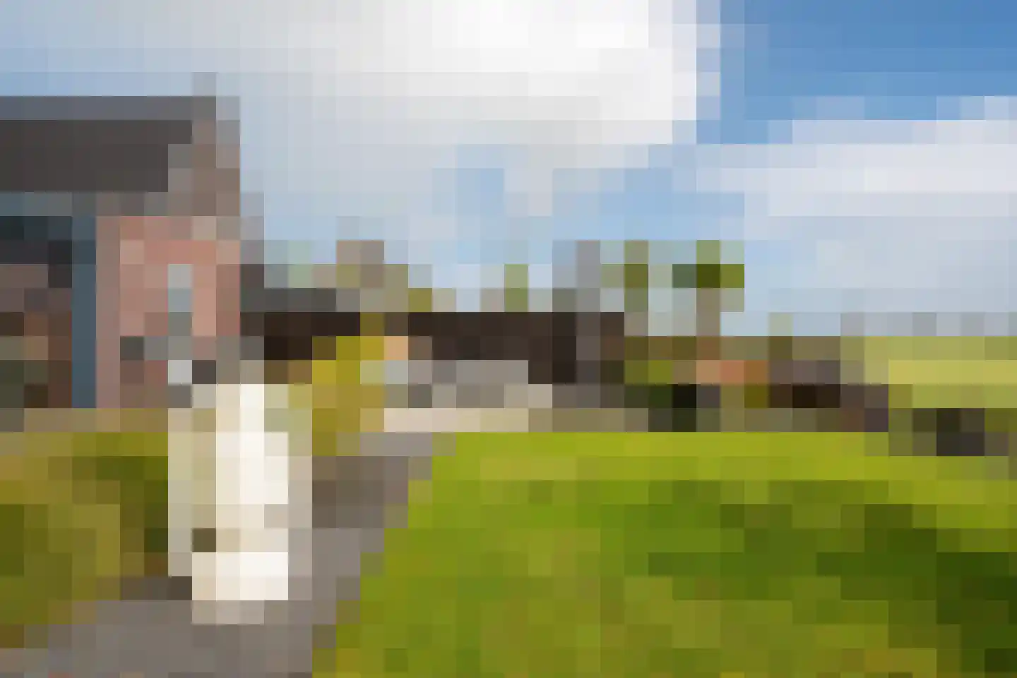 Dekenskamp 3 Wirdum thumbnail 45