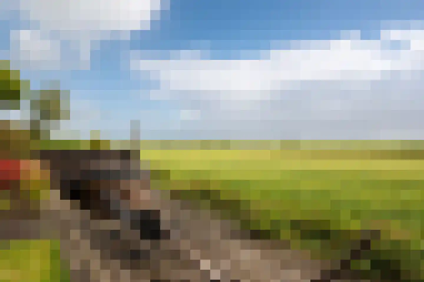 Dekenskamp 3 Wirdum thumbnail 46