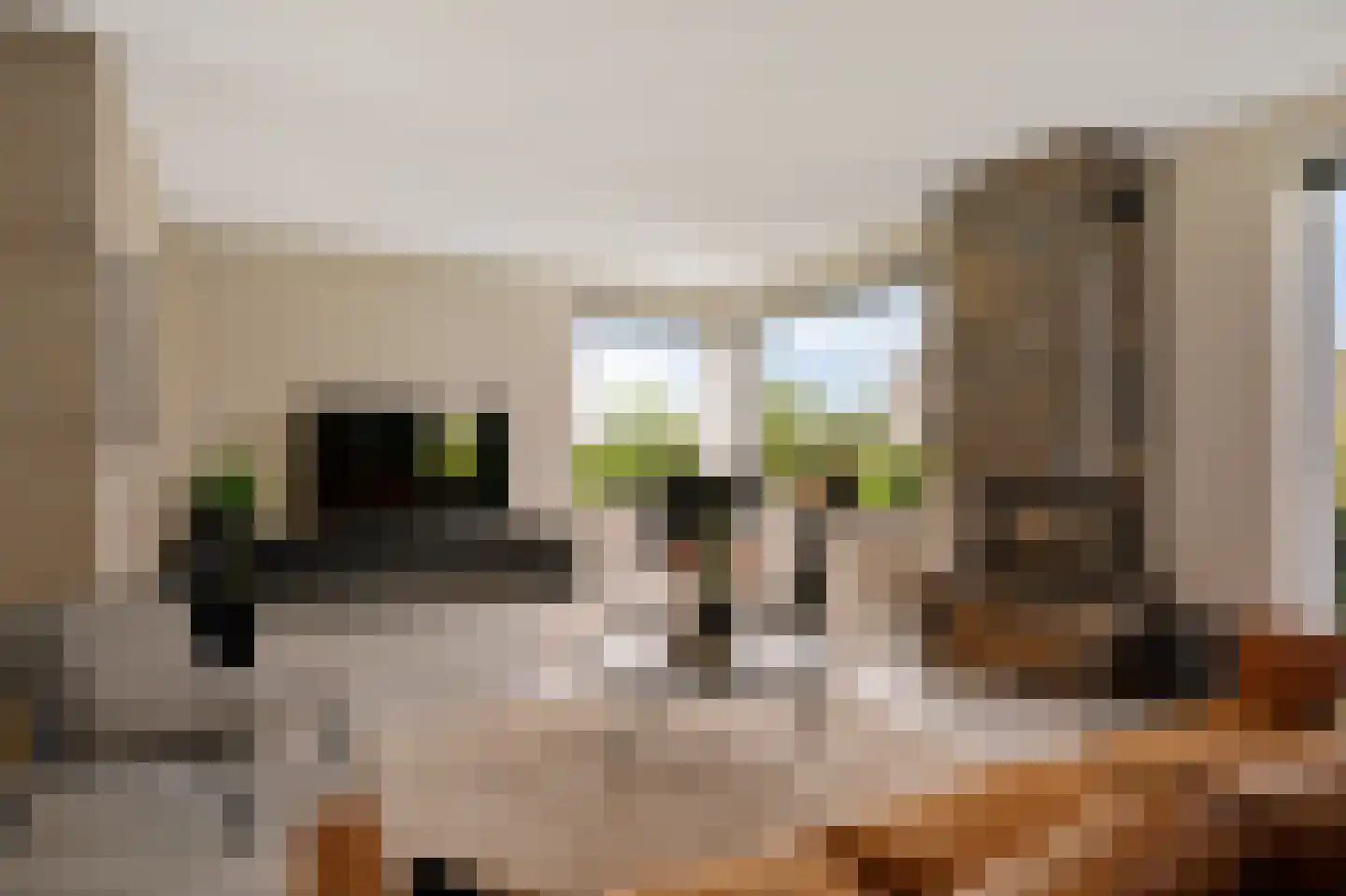 Dekenskamp 3 Wirdum thumbnail 5