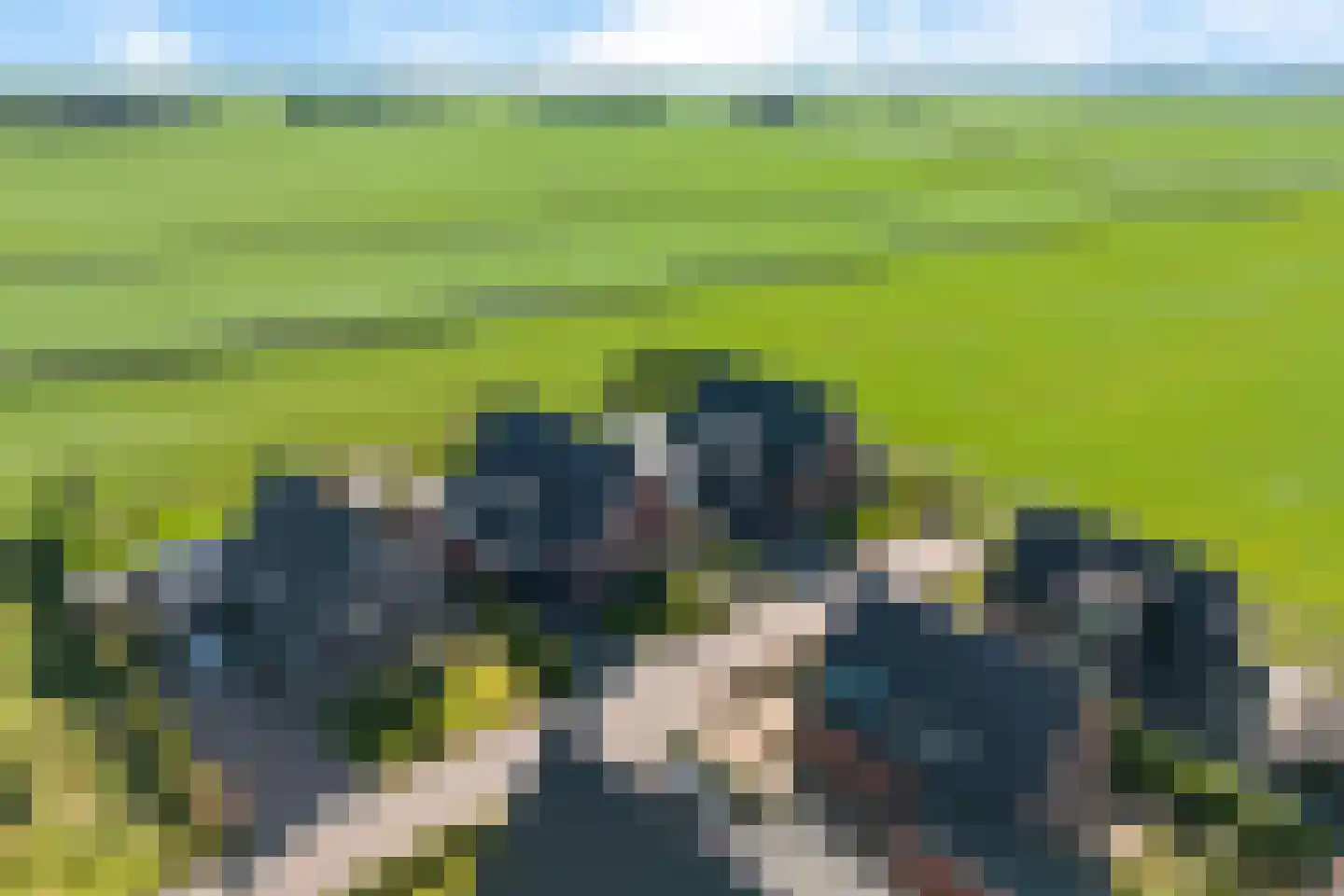 Dekenskamp 3 Wirdum thumbnail 55