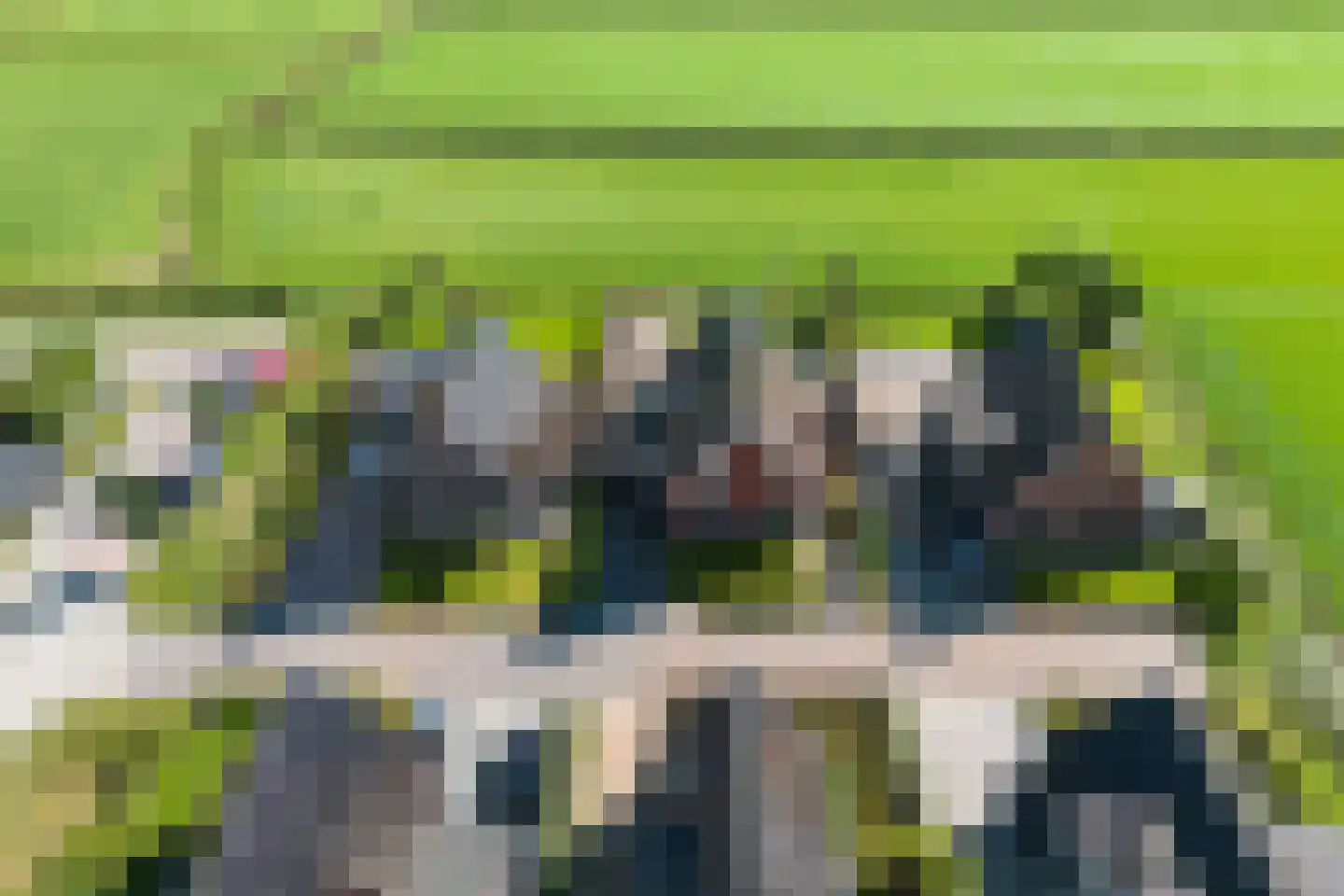 Dekenskamp 3 Wirdum thumbnail 56