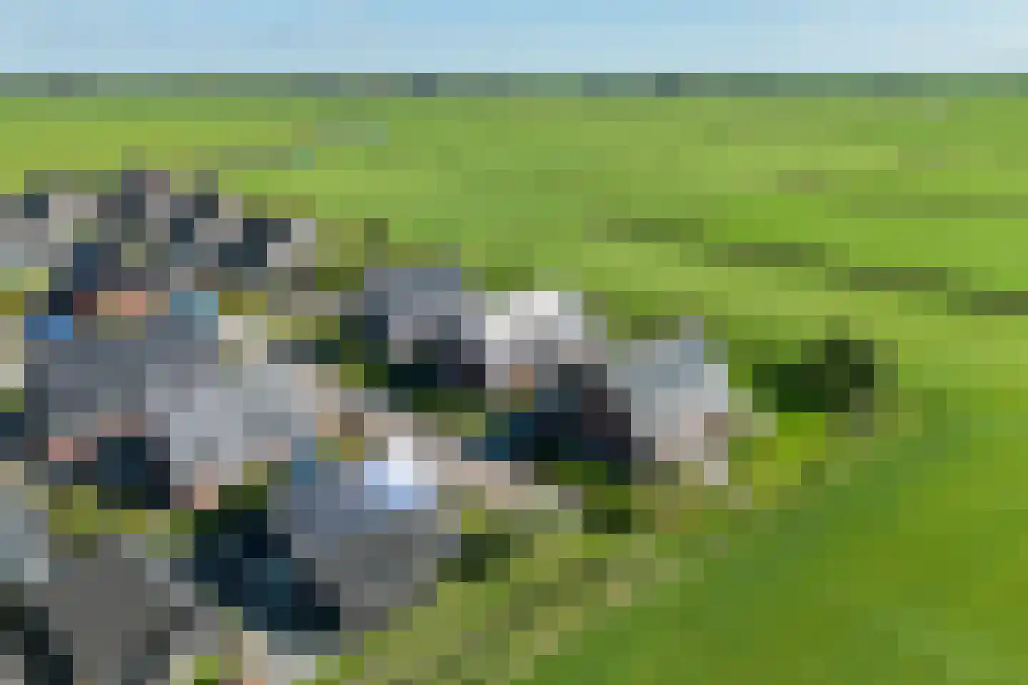 Dekenskamp 3 Wirdum thumbnail 57
