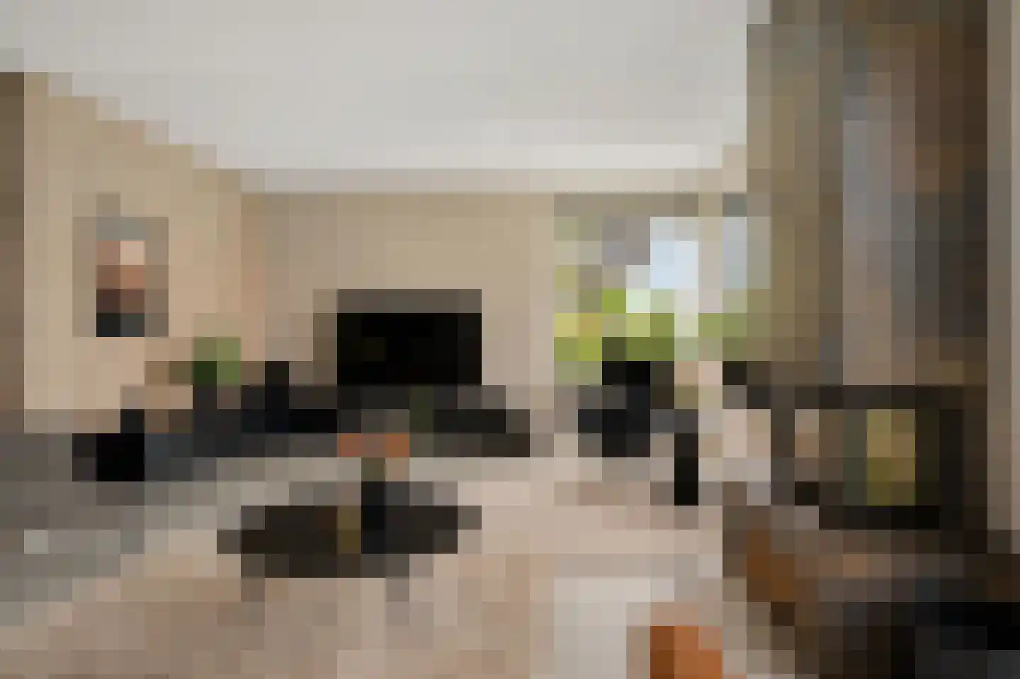 Dekenskamp 3 Wirdum thumbnail 6