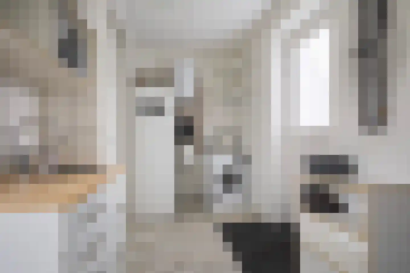 Dekenskamp 4 Wirdum thumbnail 23