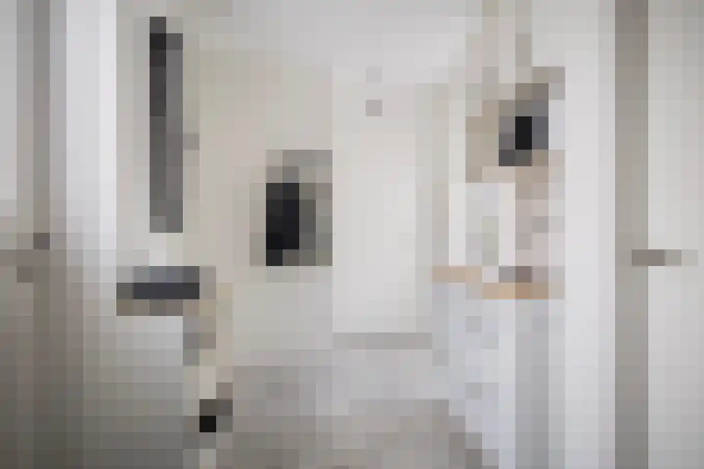 Dekenskamp 4 Wirdum thumbnail 24