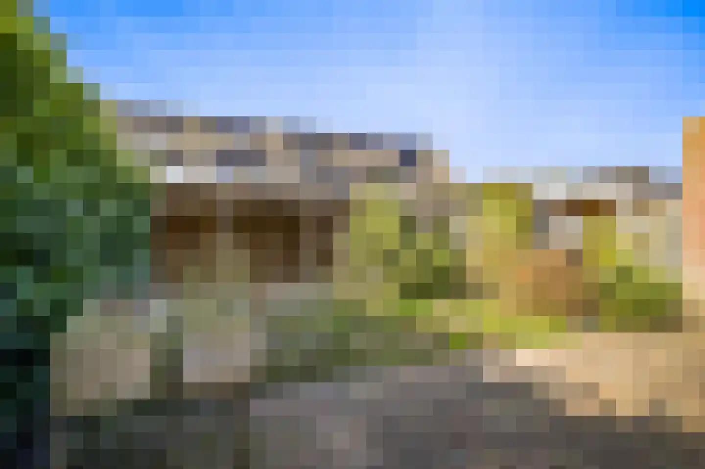 Dekenskamp 4 Wirdum thumbnail 25