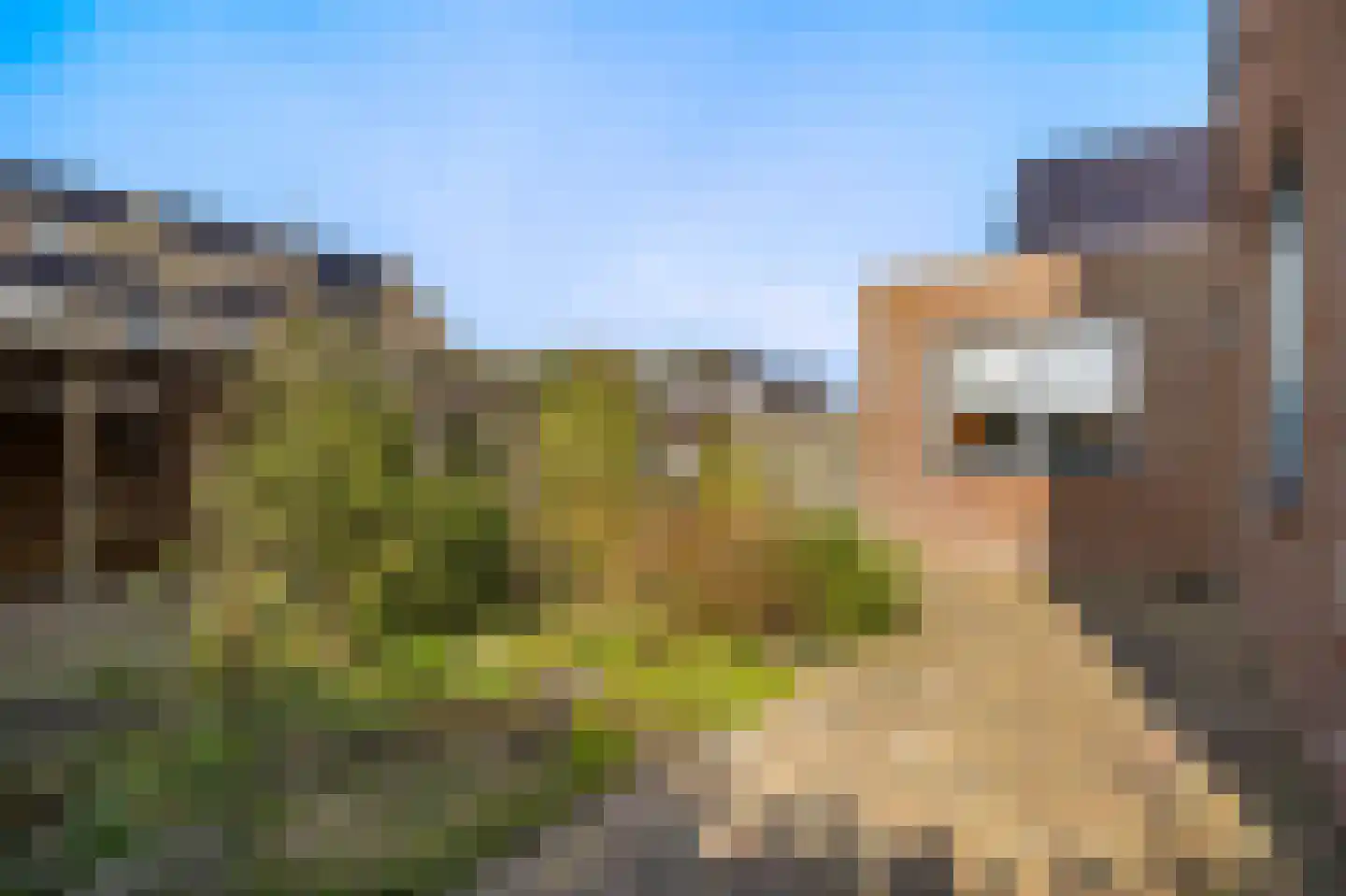 Dekenskamp 4 Wirdum thumbnail 27