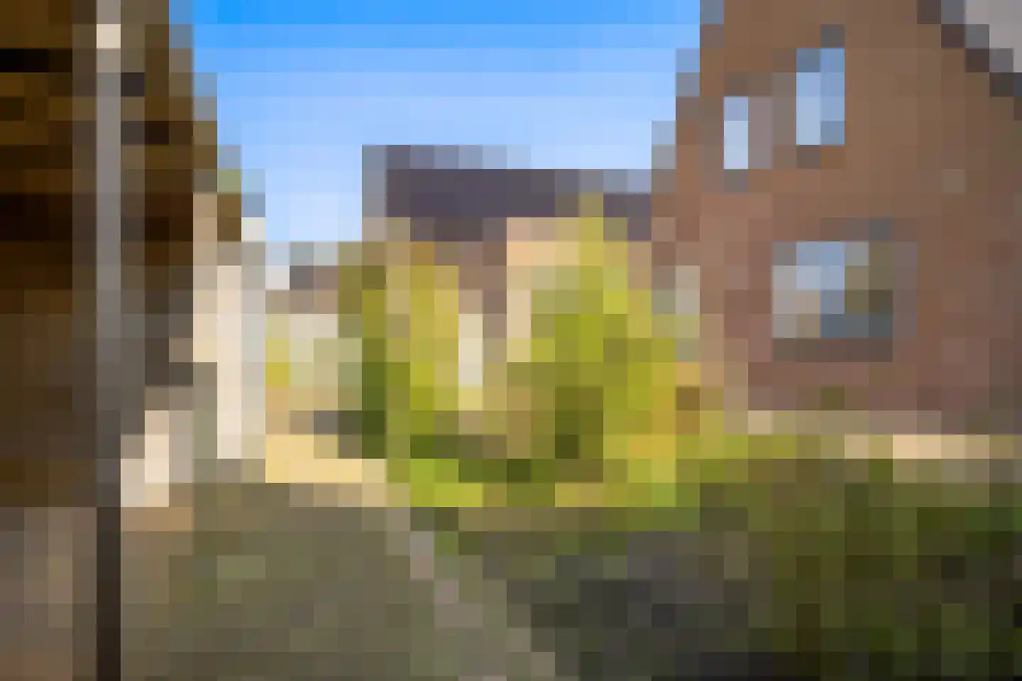 Dekenskamp 4 Wirdum thumbnail 28