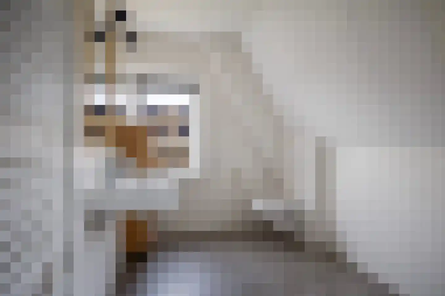Dekenskamp 4 Wirdum thumbnail 38