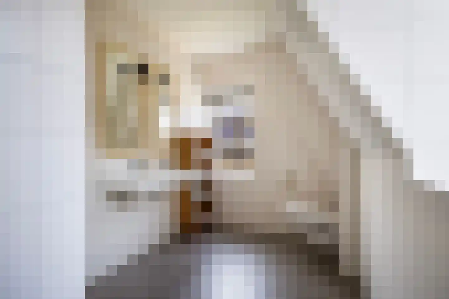 Dekenskamp 4 Wirdum thumbnail 4