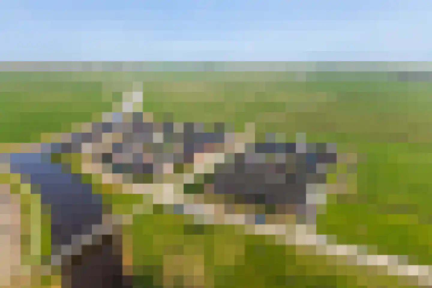 Dekenskamp 4 Wirdum thumbnail 43