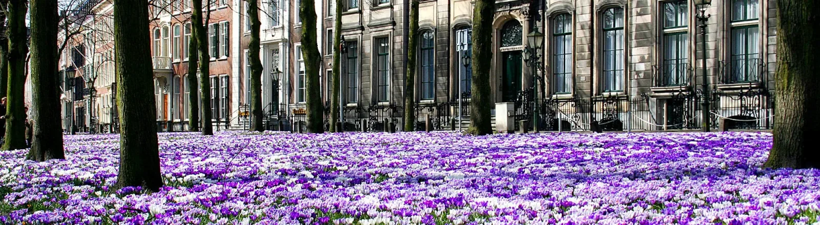 Team foto van Dekkers De Groot Makelaardij