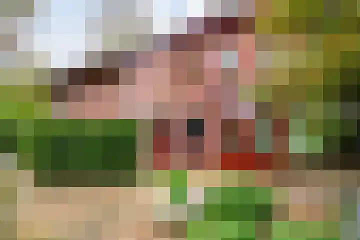 Logotipo Dekkers Garantiemakelaars