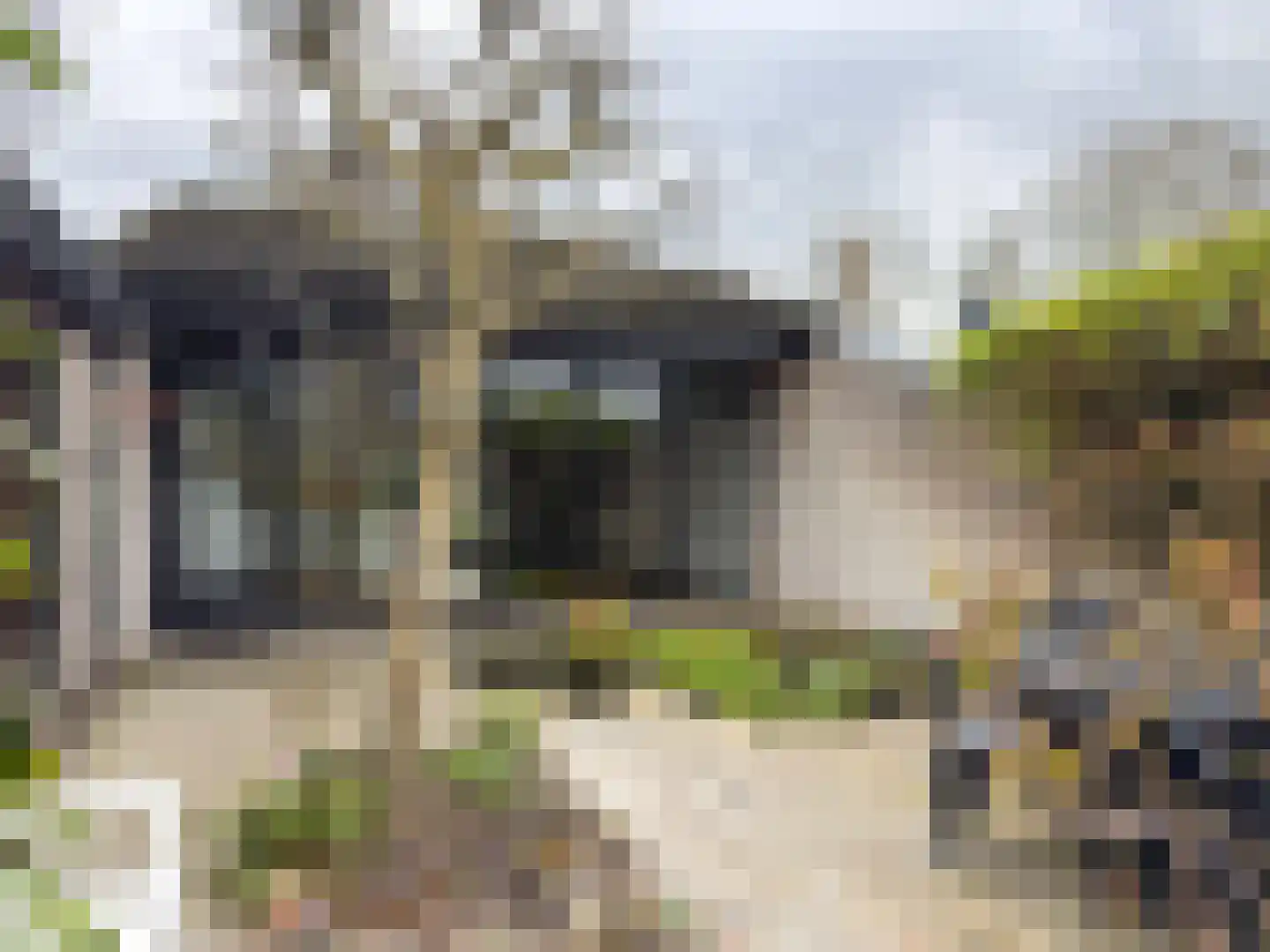 Dekkersbos 29 Leersum thumbnail 20