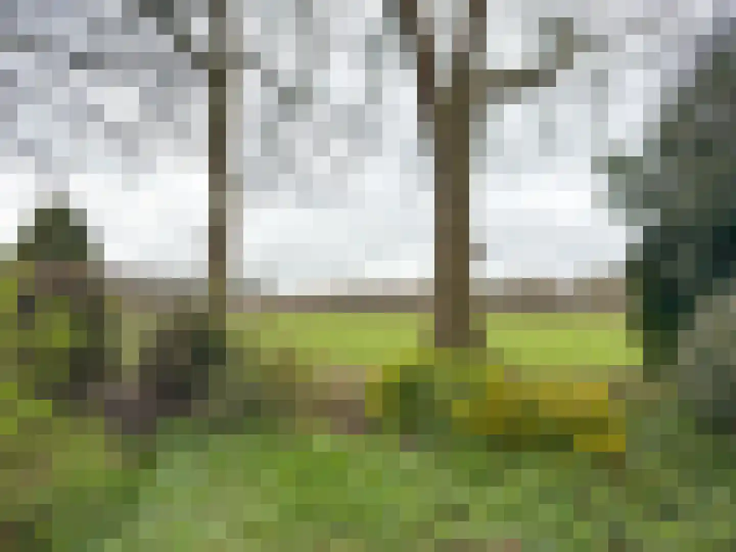 Dekkersbos 29 Leersum thumbnail 22