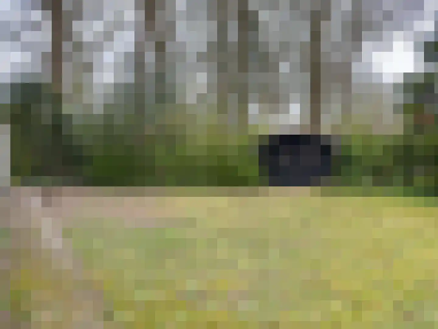 Dekkersbos 29 Leersum thumbnail 24