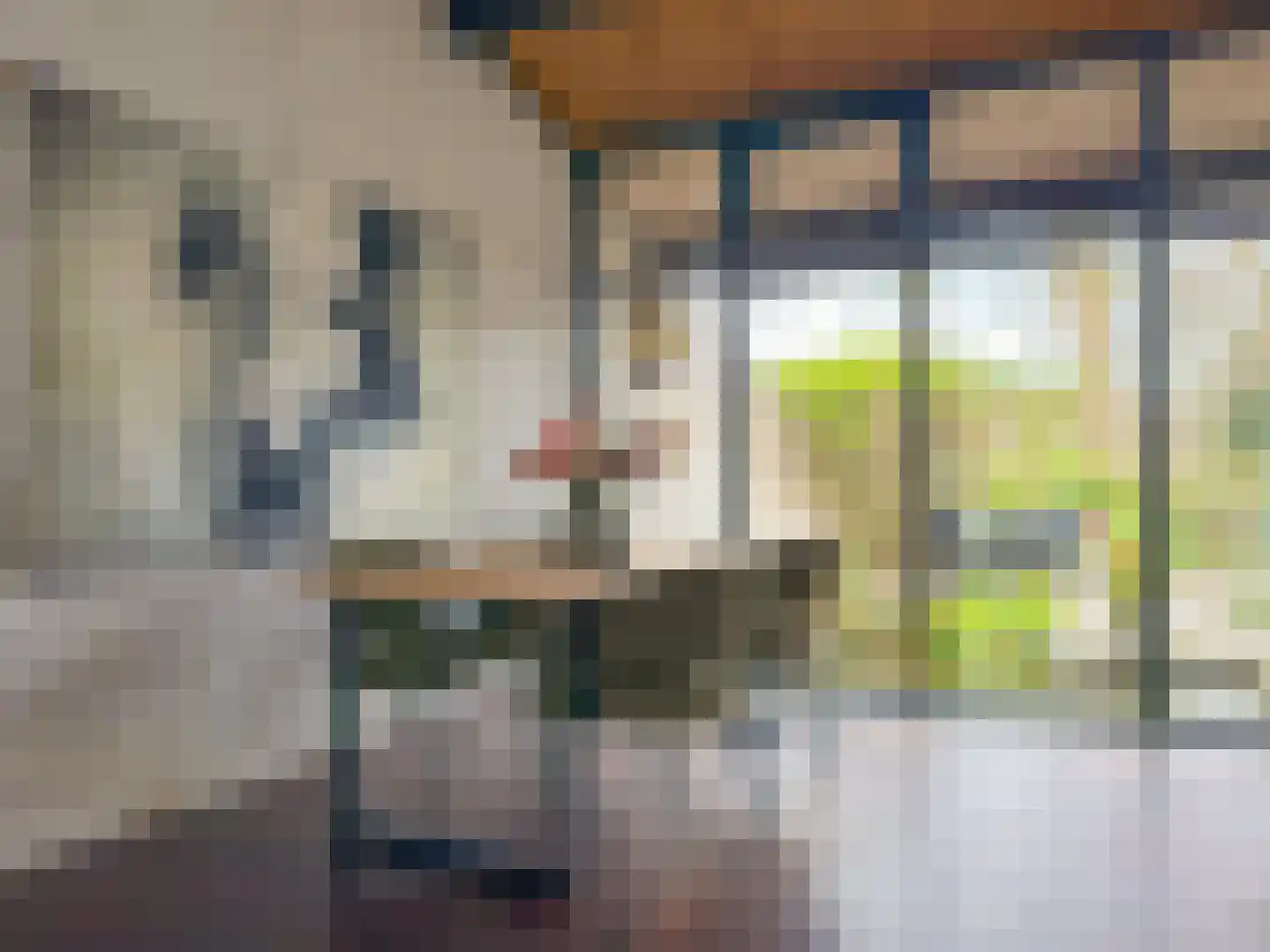 Dekkersbos 29 Leersum thumbnail 9