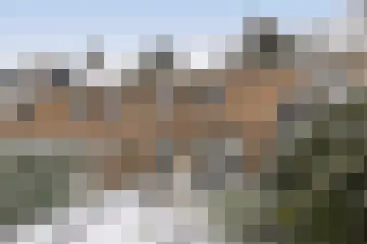 Dekkershof 10 Gorssel thumbnail 23