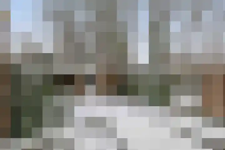Dekkershof 10 Gorssel thumbnail 25