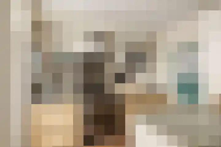 Dekkershof 10 Gorssel thumbnail 8