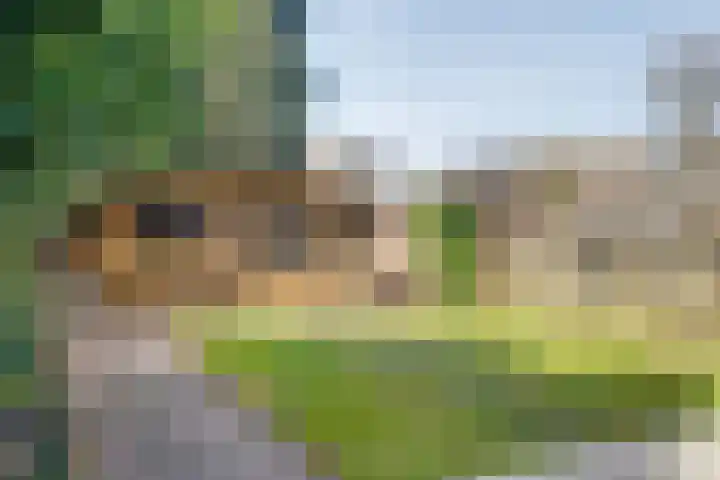 Dekkershof 11 Gorssel thumbnail 17