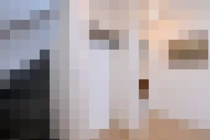 Dekkershof 9 Gorssel thumbnail 21