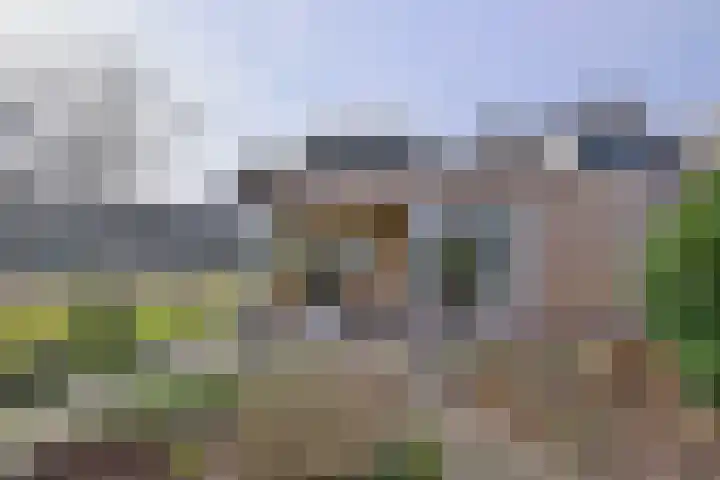 Dekkershof 9 Gorssel thumbnail 25