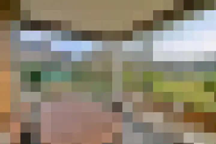 Dekkershof 9 Gorssel thumbnail 27