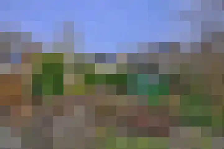 Dekkershof 9 Gorssel thumbnail 28