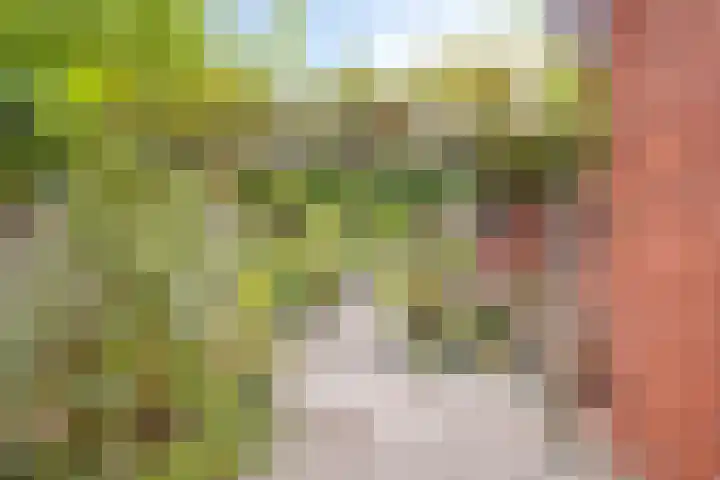 Deldensestraat 50 Goor thumbnail 21