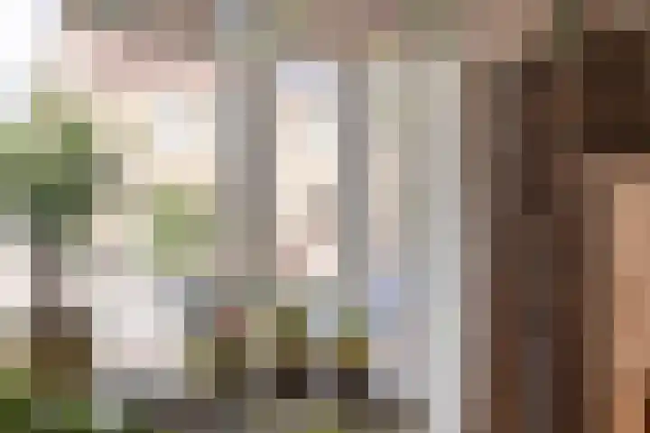 Deldensestraat 50 Goor thumbnail 9