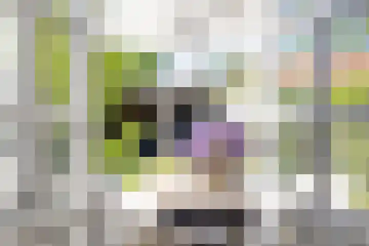 Deldensestraat 61 Borne thumbnail 18