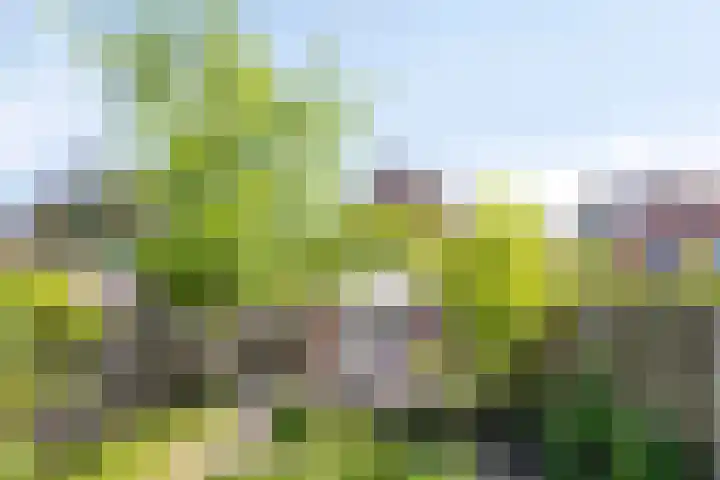Deldensestraat 61 Borne thumbnail 27