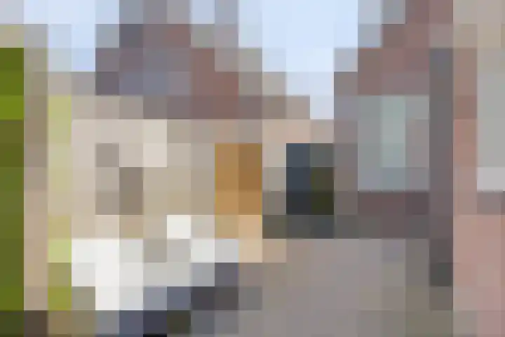 Deldensestraat 61 Borne thumbnail 32