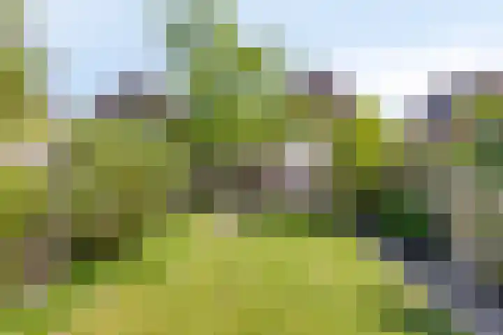 Deldensestraat 61 Borne thumbnail 7