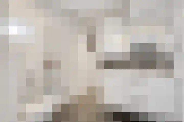 Deldensestraat 74 a Borne thumbnail 22